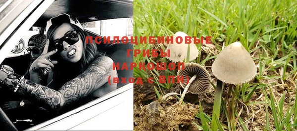 ешки Алзамай