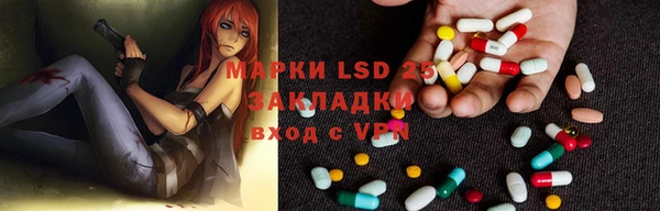 apvp Алексин