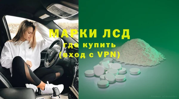 apvp Алексин