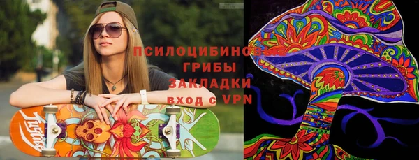 ешки Алзамай
