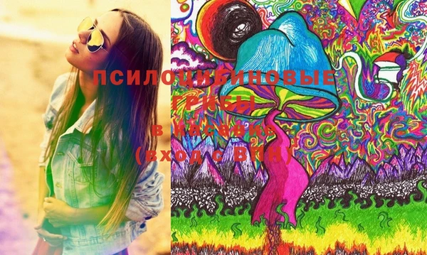 альфа пвп Алексеевка