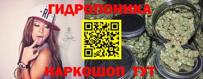 скорость Тара